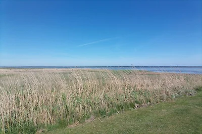 6 persone case ad Ørsted