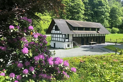 Ferienhaus im Sauerland