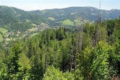 Hütte in Wisła nahe Adam-Małysz-Schanze