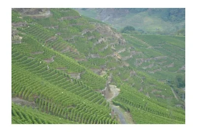 4 Sterne Ferienwohnungen  Weber