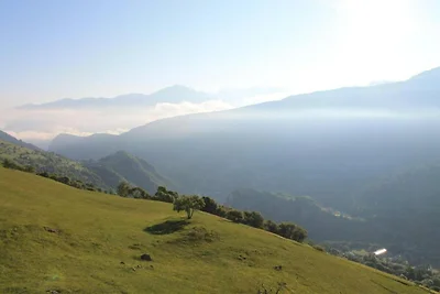 Wohnung in Frankreich mit Ski-Aussicht
