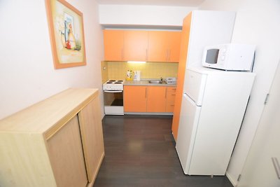 Ruhiges Appartement in Rokytnice nad Jizerou