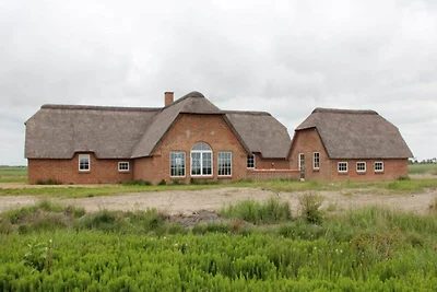 4 Sterne Ferienhaus in Ulfborg