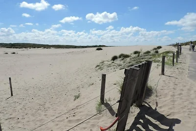 View Escape, Scheveningen