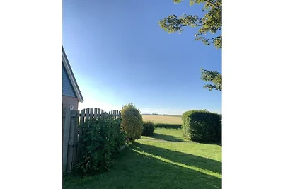 Ferienhaus in texel mit Schwimmbecken