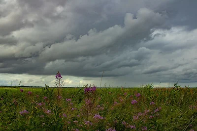 6 Personen Ferienhaus in Nibe-By Traum