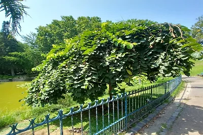 Aufenthalt bei Allees Riquet