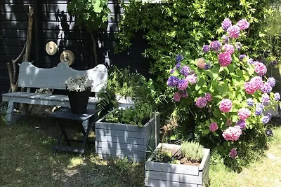 Huis in dennenbos met omheinde tuin