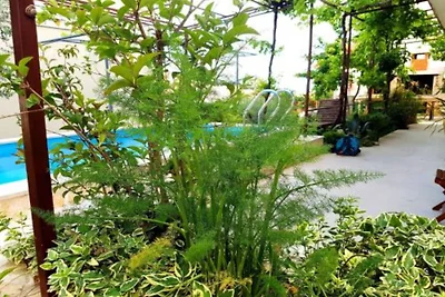 Apartments Kegalj - Studio with Pool View