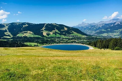 Schönes Chalet mit Kamin in Megève