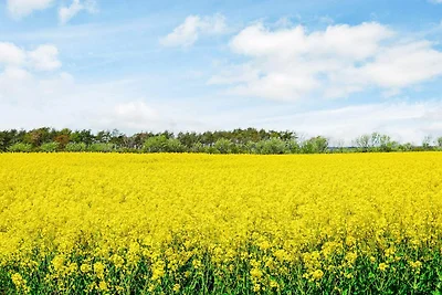 4 Sterne Ferienhaus in Burgsvik