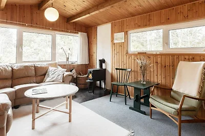 4 Personen Ferienhaus in Bindslev-By Traum