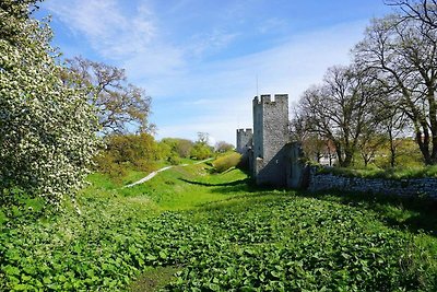 5 Sterne Ferienhaus in VISBY