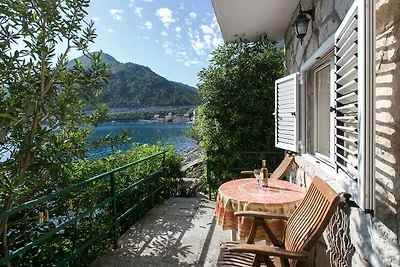 Apartments Anelić- One Bedroom Apartment with...