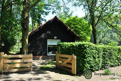 Schönes Ferienhaus in Leende mit überdachter...