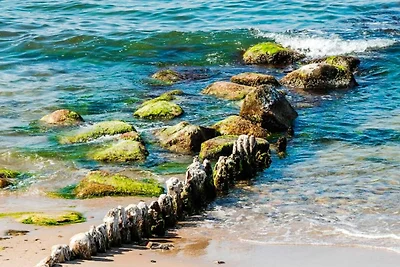 6 Personen Ferienhaus in Græsted-By Traum