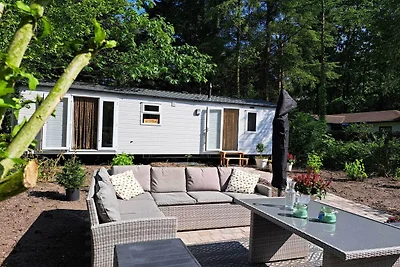 Neues Ferienhaus in Hattemerbroek mit...