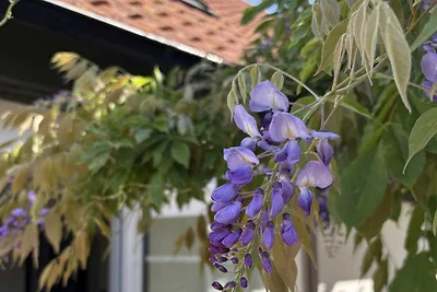 5 Sterne Ferienhaus in Löderup