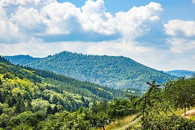 "Kirschzauber" auf dem Vogthof