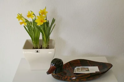 Ferienwohnung mit 1 Schlafzimmer