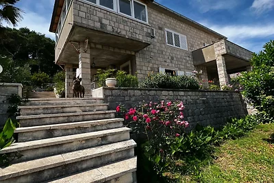 Apartments & Rooms Tapera- Comfort Double Roo...