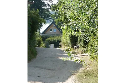 Summerland z kajakiem na jeziorze