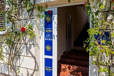 Apartments Rašica Molunat - Standard Studio