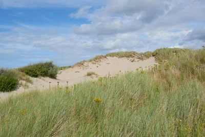 Studio aan zee in Wenduine