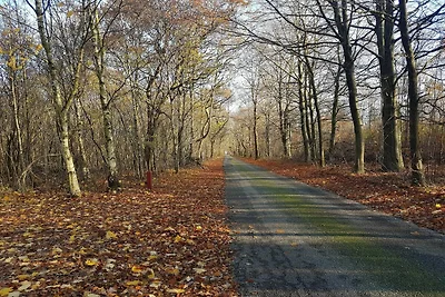 6 Personen Ferienhaus in Toftlund-By Traum