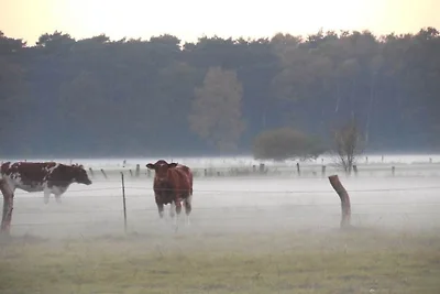 FeWo Dingdener Heide