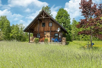 Mooi vakantiehuis met een natuurlijke beek om...