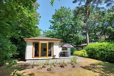 Ferienhaus in Beekbergen mit Terrasse