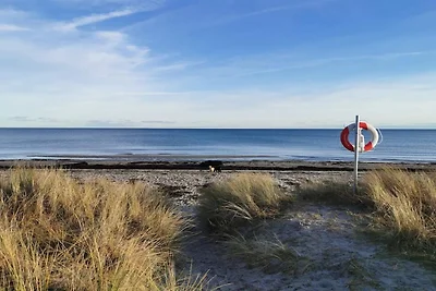 6 Personen Ferienhaus in Væggerløse-By Traum