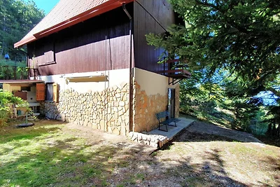 Tradizionale casa vacanze a Polino con...