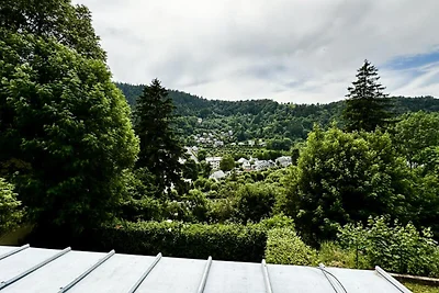 Haus in Le Mont-Dore mit Bergblick