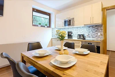 Wohnung in Harrachov mit Grill