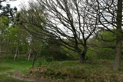 8 Personen Ferienhaus in Ebeltoft-By Traum