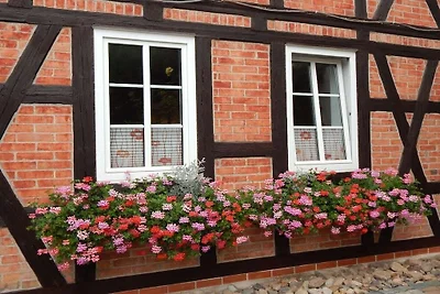 Ferienwohnung in Harz mit 1 Schlafzimmer
