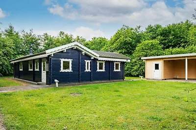 6 persone case ad Silkeborg-By Traum