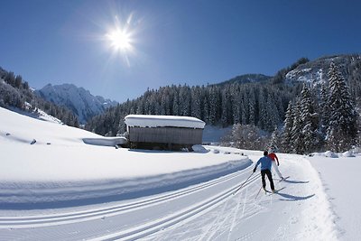 Luxuriöse Ferienwohnung nahe vier Skiliften i...