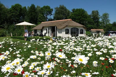 ||---La casa Polder---||