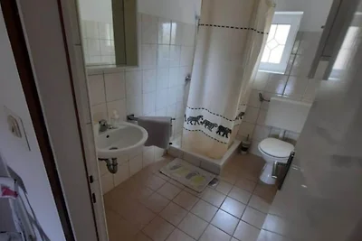 One Bedroom Apartment With Terrace (A1)