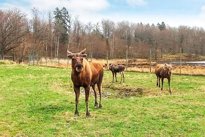 6 persone case ad STJÄRNHOV-By Traum