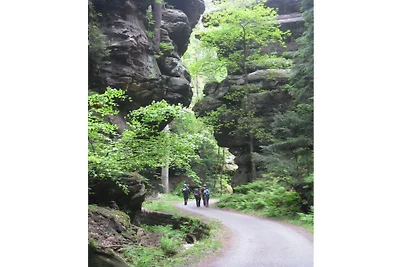 Schrammsteinblick