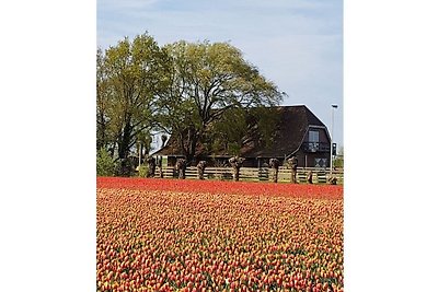 Landleben Komfortable Ferienresidenz