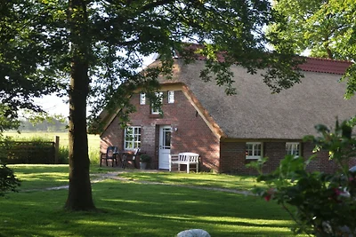 Reetdachkate Sillenserwisch