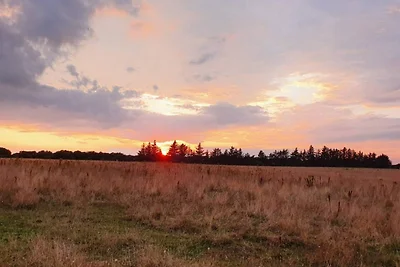 6 persoons vakantie huis in Esbjerg V