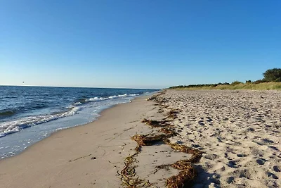 6 Personen Ferienhaus in Gedser