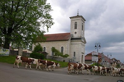 Gîte de la Marandine a Métabief con giardino