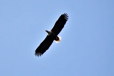 4 persone case ad Austrheim